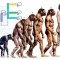Obilje Fosila Potvrđuje Evoluciju?