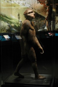 Naučna rekonstrukcija kako bi Lusi (Australopitek Afarensis) izgledala u stvarnom životu Naučna rekonstrukcija kako bi Lusi (Australopitek Afarensis) izgledala u stvarnom životu