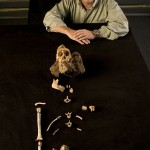 Nekompletan fosil Australopiteka Sedibe Nekompletan fosil Australopiteka Sedibe