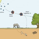 Ugljenik-14